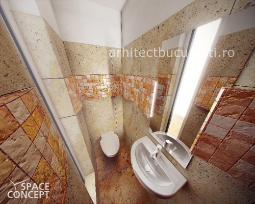 proiect baie piatra mozaic arhitect